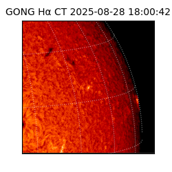 gong - 2025-08-28T18:00:42