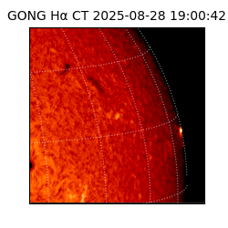 gong - 2025-08-28T19:00:42