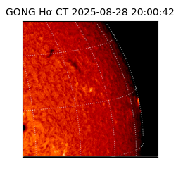 gong - 2025-08-28T20:00:42