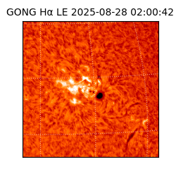 gong - 2025-08-28T02:00:42