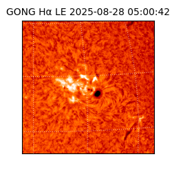 gong - 2025-08-28T05:00:42