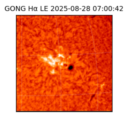 gong - 2025-08-28T07:00:42