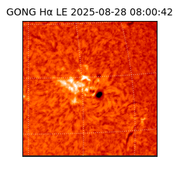 gong - 2025-08-28T08:00:42