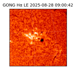 gong - 2025-08-28T09:00:42