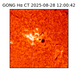 gong - 2025-08-28T12:00:42