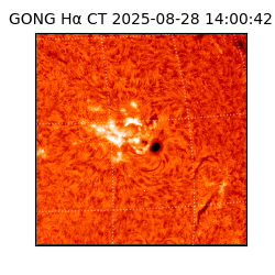 gong - 2025-08-28T14:00:42