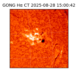 gong - 2025-08-28T15:00:42