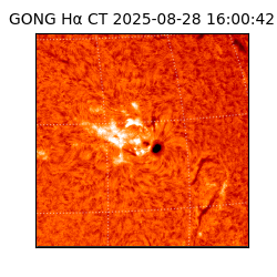 gong - 2025-08-28T16:00:42