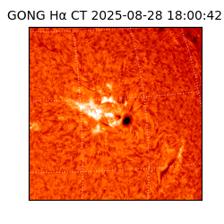 gong - 2025-08-28T18:00:42