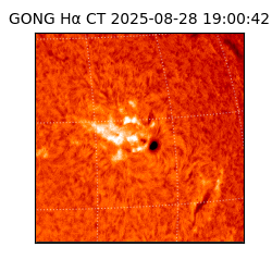 gong - 2025-08-28T19:00:42