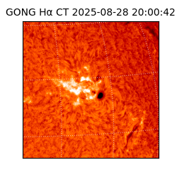 gong - 2025-08-28T20:00:42