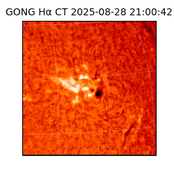 gong - 2025-08-28T21:00:42