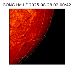 gong - 2025-08-28T02:00:42