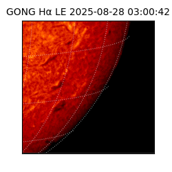 gong - 2025-08-28T03:00:42