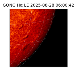 gong - 2025-08-28T06:00:42