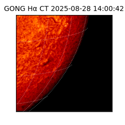 gong - 2025-08-28T14:00:42