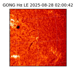 gong - 2025-08-28T02:00:42