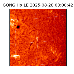 gong - 2025-08-28T03:00:42