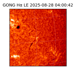 gong - 2025-08-28T04:00:42