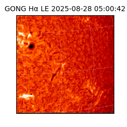 gong - 2025-08-28T05:00:42