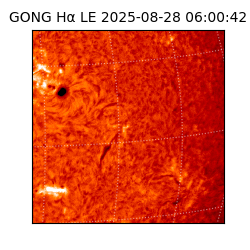 gong - 2025-08-28T06:00:42