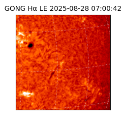 gong - 2025-08-28T07:00:42