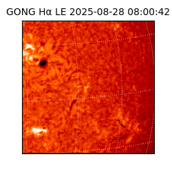 gong - 2025-08-28T08:00:42