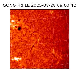 gong - 2025-08-28T09:00:42