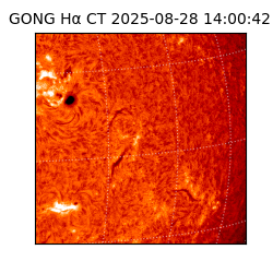 gong - 2025-08-28T14:00:42