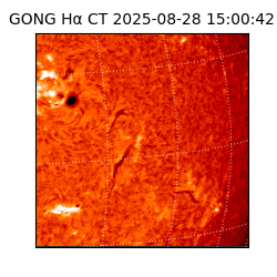 gong - 2025-08-28T15:00:42