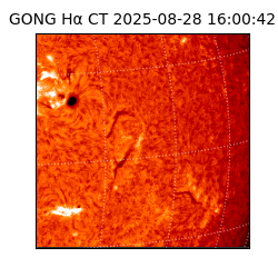 gong - 2025-08-28T16:00:42