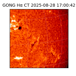 gong - 2025-08-28T17:00:42