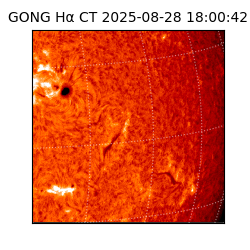 gong - 2025-08-28T18:00:42