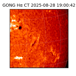 gong - 2025-08-28T19:00:42