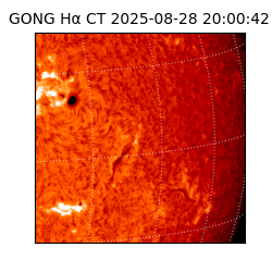 gong - 2025-08-28T20:00:42