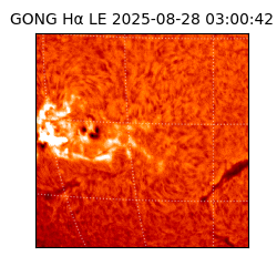 gong - 2025-08-28T03:00:42