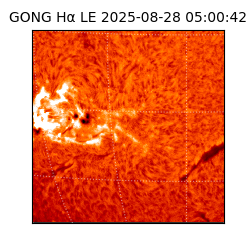 gong - 2025-08-28T05:00:42