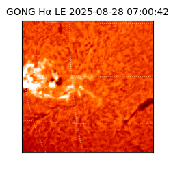 gong - 2025-08-28T07:00:42