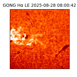 gong - 2025-08-28T08:00:42