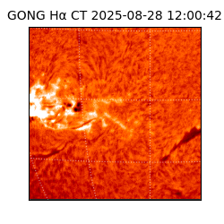 gong - 2025-08-28T12:00:42