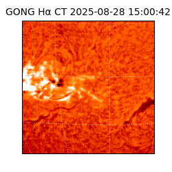 gong - 2025-08-28T15:00:42