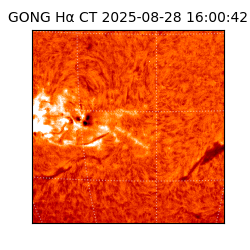 gong - 2025-08-28T16:00:42