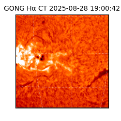 gong - 2025-08-28T19:00:42