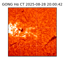 gong - 2025-08-28T20:00:42