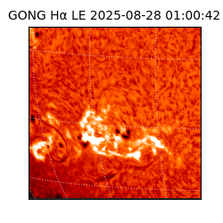 gong - 2025-08-28T01:00:42