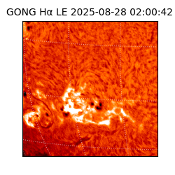 gong - 2025-08-28T02:00:42