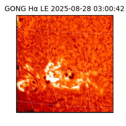 gong - 2025-08-28T03:00:42