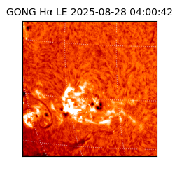 gong - 2025-08-28T04:00:42