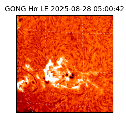 gong - 2025-08-28T05:00:42