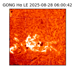 gong - 2025-08-28T06:00:42